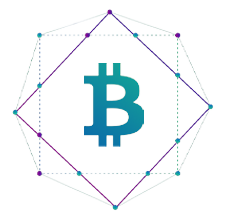 Btcfi logo with text small